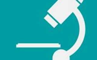 Крапивница у детей — как проявляется и что с ней делать для здоровья