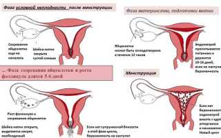 Как считать дни цикла