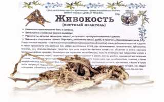 Лечение переломов костей народными средствами