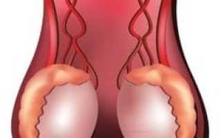 Сколько живут сперматозоиды? Узнайте все детали