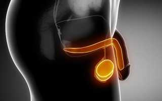Почему слезает кожа с головки и крайней плоти? Узнайте причины и советы