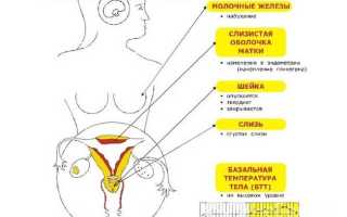 Недостаток прогестерона у женщин
