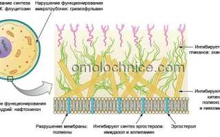 Как действуют таблетки клотримазол