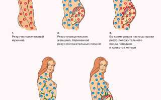 Мифы о совместимости крови при беременности